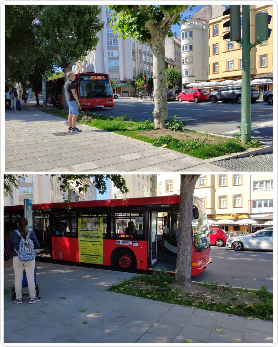 BlogBusurbano's tweet photo. @ConcelloCoruna @Tuiteando8 @DirectosAlAzar @silcerino @TranviasCoruna O certo é que estivemos na #Par046 esta pasada semana e fixámonos neso:

Pra deixar sitio a outras liñas por detrás, ás veces o primeiro avanza ata o semáforo (onde hai "xardín").

Esa observación de @DirectosAlAzar é boa. Mágoa que quen pode nin o vise...
https://t.co/oVw3pd0fHQ https://t.co/V0towMYTON