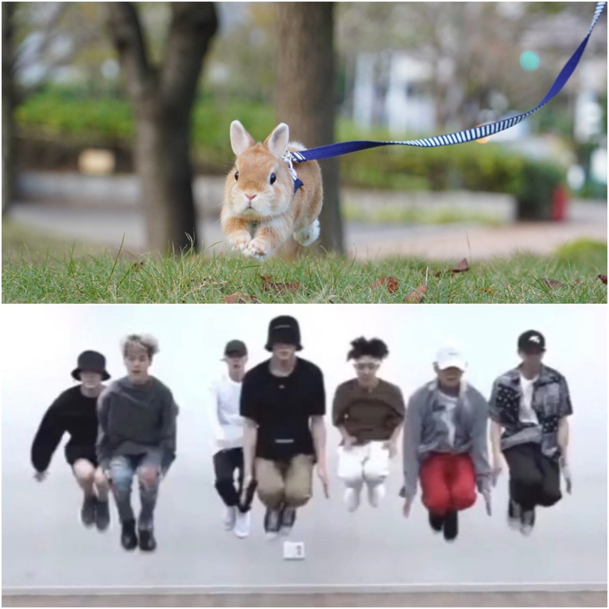 _peterpom_'s tweet image. JUMP🐰🙌
#samepose
#PETER
#JUNGKOOK
@BTS_twt