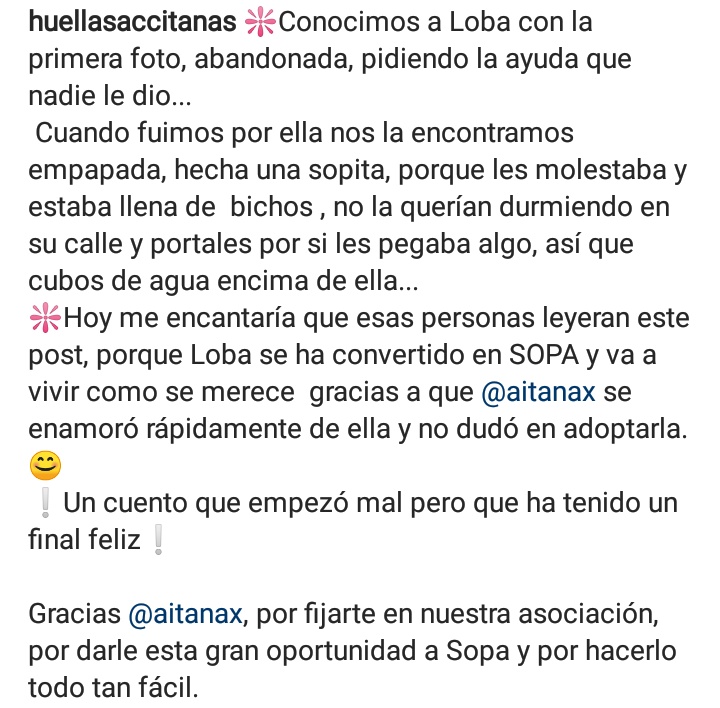 Maria_Marione's tweet photo. Cuesta tan poquito hacerlo bien y tener un poco de conciencia ❤️ https://t.co/kSyMVNUgWS