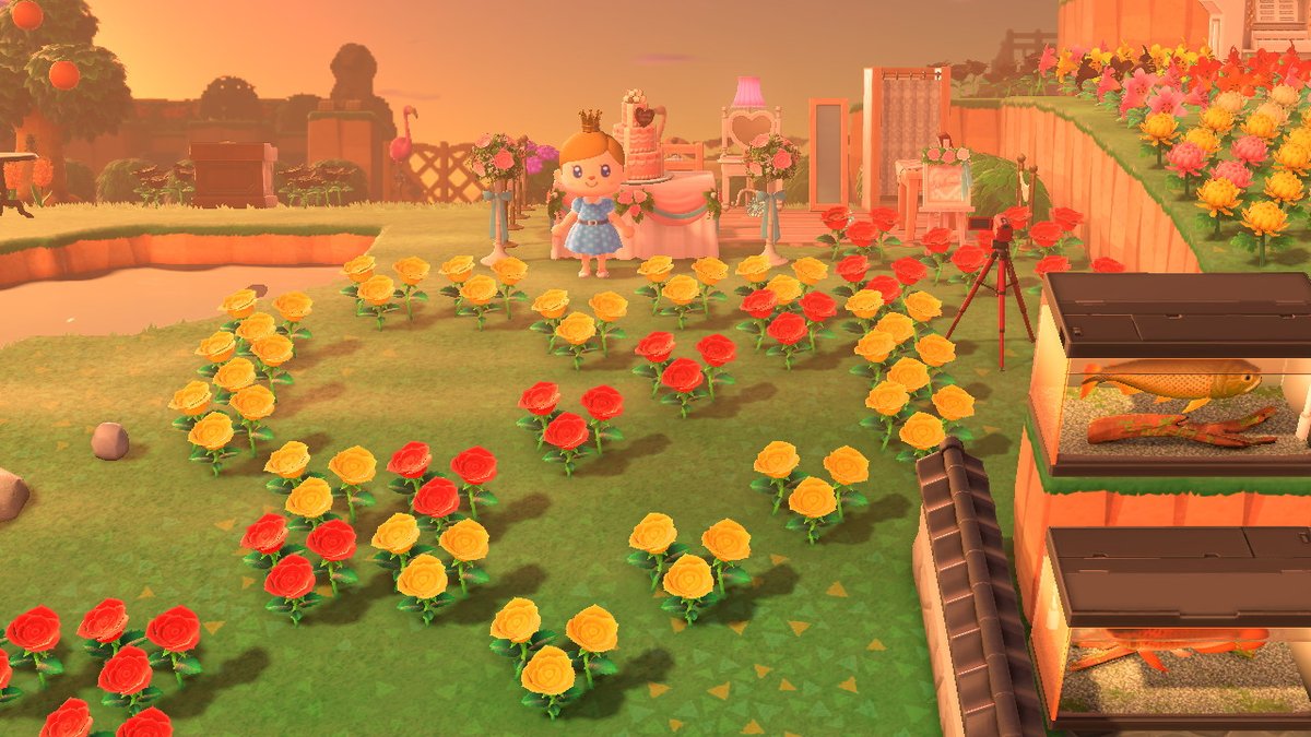 echoyx's tweet photo. #动物森友会 #AnimalCrossing #ACNH #NintendoSwitch https://t.co/k74ut4qLtJ