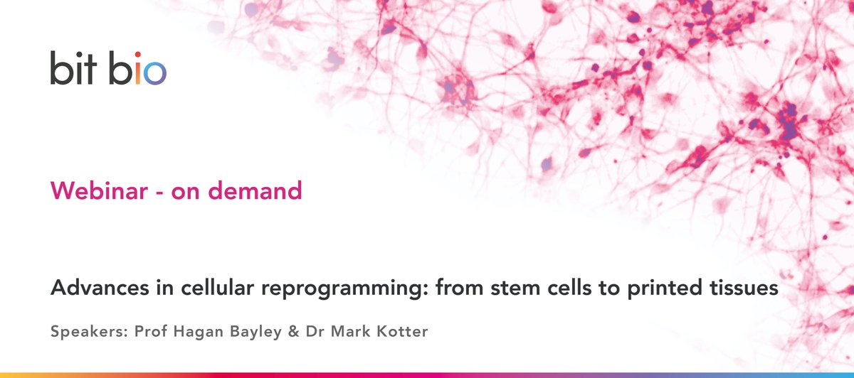 bitbio's tweet image. If you didn&apos;t get the chance to catch our webinar last week you can watch it on-demand today!

mailchi.mp/c45675d92880/w…

#cellcodingcompany #printedtissues #organoids #ioNEURONSglut #bitbio #iPSC #humancellmodel #optiox #webinar