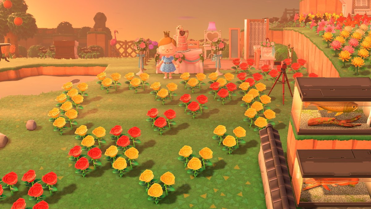 echoyx's tweet photo. #动物森友会 #AnimalCrossing #ACNH #NintendoSwitch https://t.co/vLt6PF2s7H