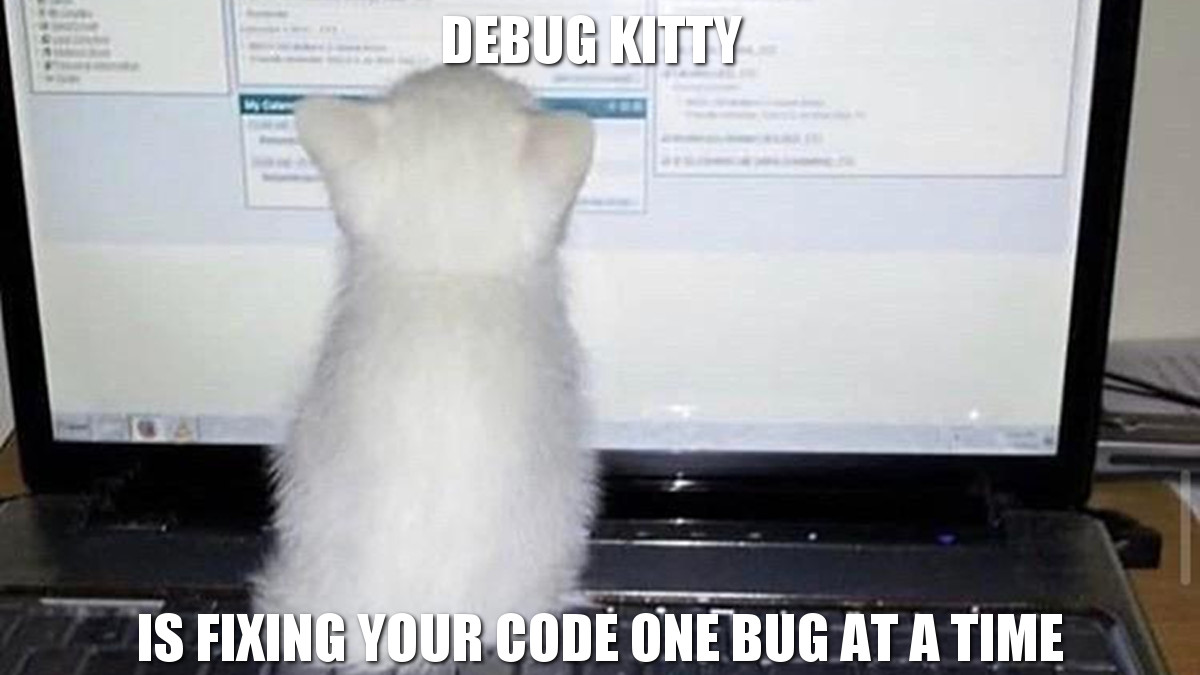 ProgrammerCats's tweet image. He smol but he vigilant! #programmerhumor #codinglife #codingmemes #catmeme #cats
