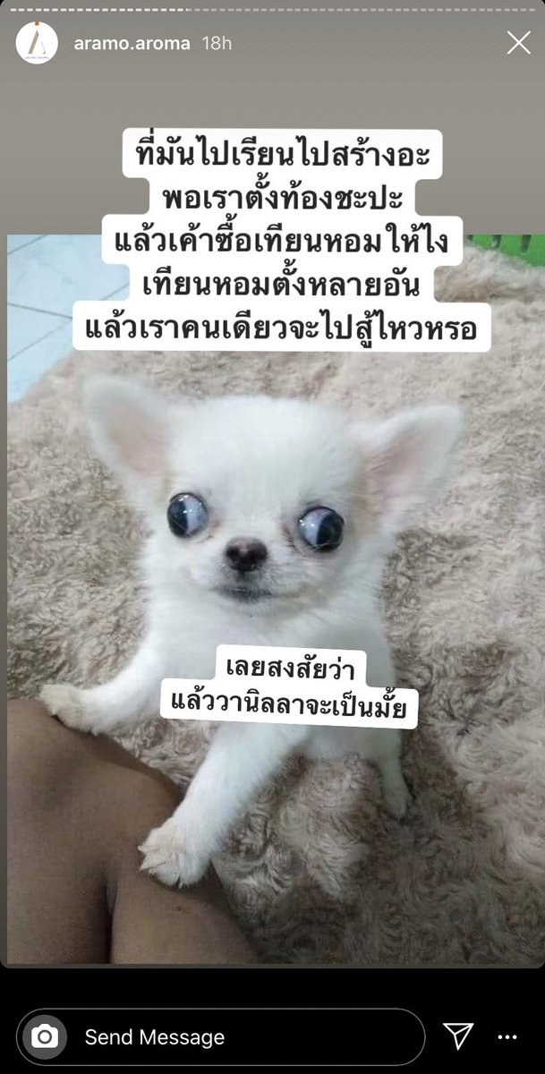 sad boy . tweet media