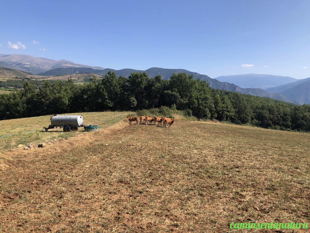 caminsnatura's tweet photo. 🔴 NOU AL BLOG
⛰ Excursió pel #PallarsSobirà: de #GerriDeLaSal a l’estany de Montcortès. L’anada és per #Peramea, #Bretui i #MontcortèsDePallars. La tornada la fem per #Cortscastell. 
➡️ https://t.co/2JAE1hZEEs https://t.co/ycMF6N4Wz3