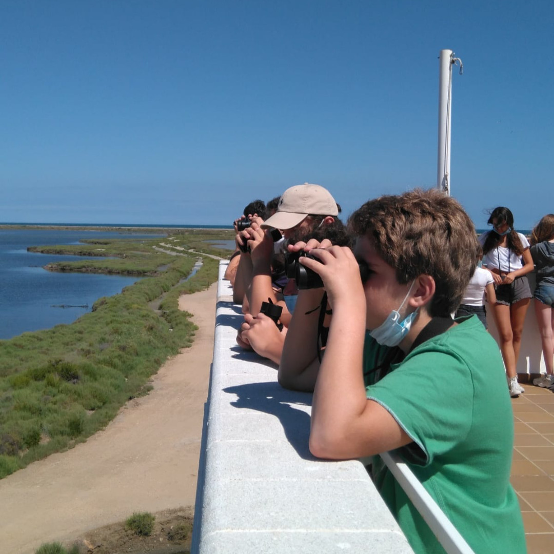 CICVIATGES's tweet photo. Delta Parc - Bird observation in Monnatura 🦅
#delta #colonies #summer #English #coloniescic #birdobservation https://t.co/MkxFme4KQw