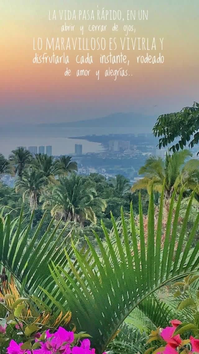 LaDulceGroup's tweet photo. Sabes porque hay personas que no salen de tu cabeza ? Porque sencillamente llegaron a tu corazón..

#LaDulceVista #PuertoVallarta https://t.co/I51CbC3dvV