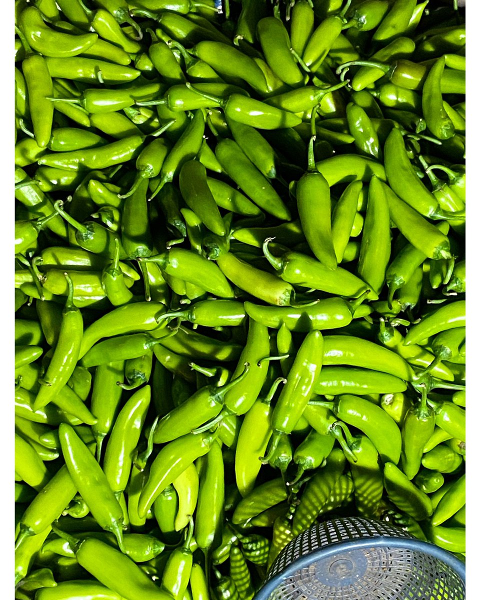 vikashmaurya_3's tweet photo. #minipeppers #veggies #iloveminipeppers #mirchi #rawingredients #eatyourfruits #redisthecolor #perfectionisoverrated #lovemyfruitsandveggies #prettypeppers #mirchiya #fruitlover #fruitphotos #shotoniphone #phonephotography #darkphotography #darkfoodphotography #pune https://t.co/vEPTCXS4Yk