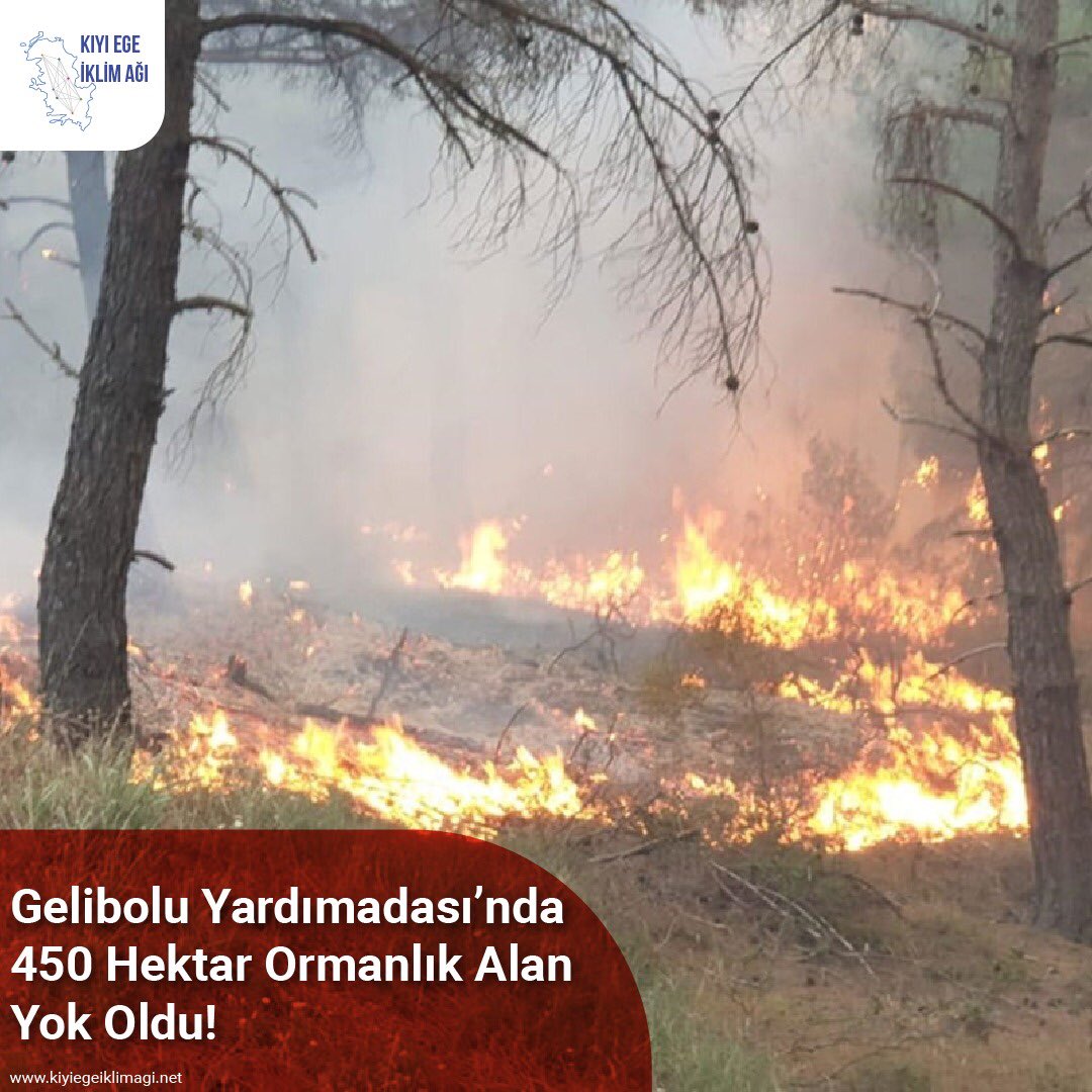 #Gelibolu Yarımadası'nın farklı noktalarında devam eden orman yangınları hepimizi derinden üzdü. Sonrasında gerçekleştirilecek her türlü ağaçlandırma kampanyasında yer alarak görevimizi yerine getireceğimizi bildiriyoruz.