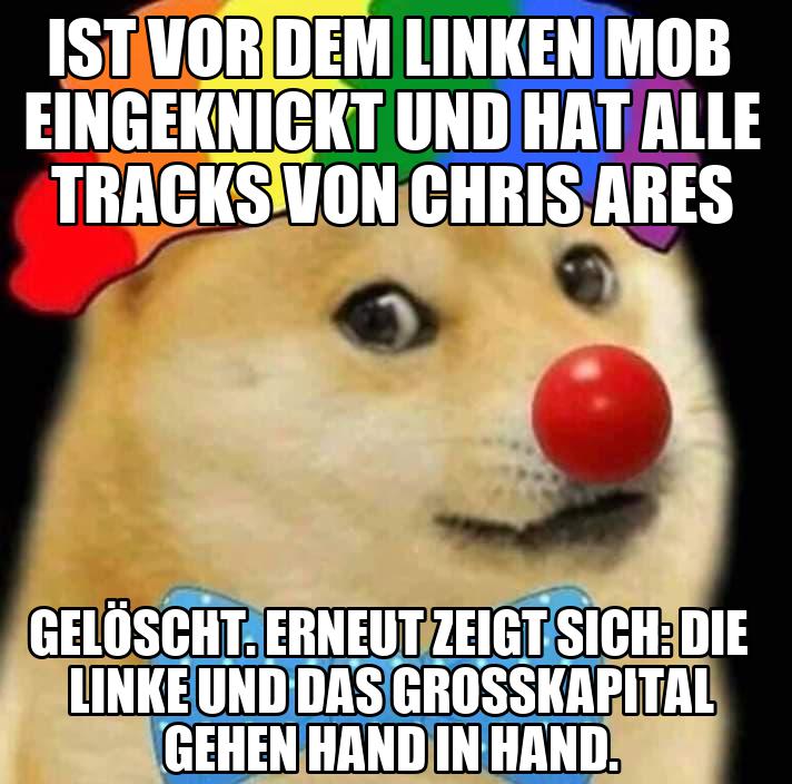 Doge Bot
