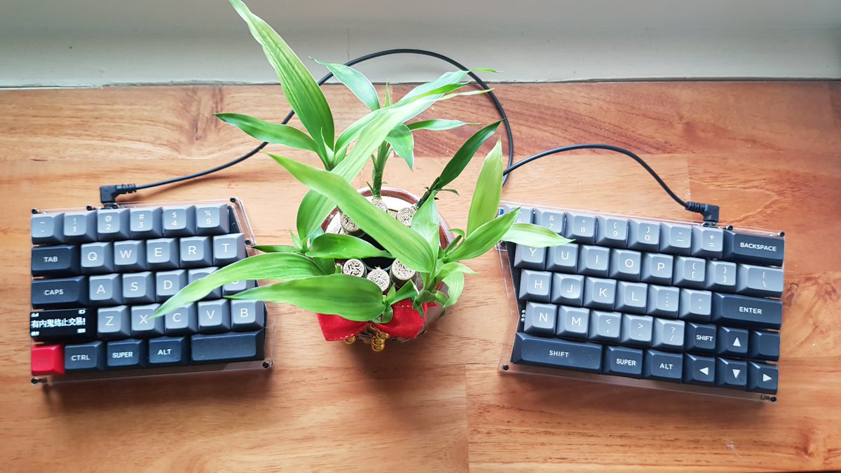 ErgoTaiwan's tweet photo. get flash air when you type-in. 

#mint60 #ErgoTaiwan #dolch #keyboard #Taiwan #mechanicalkeyboard https://t.co/9OmTkddwxJ