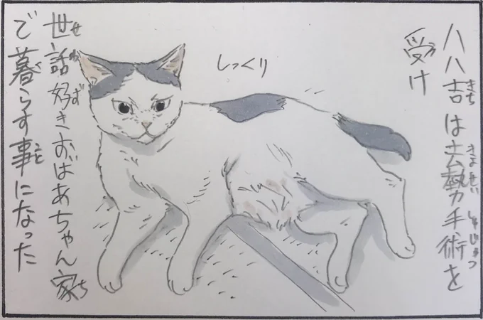『ノリ吉12(終)』 