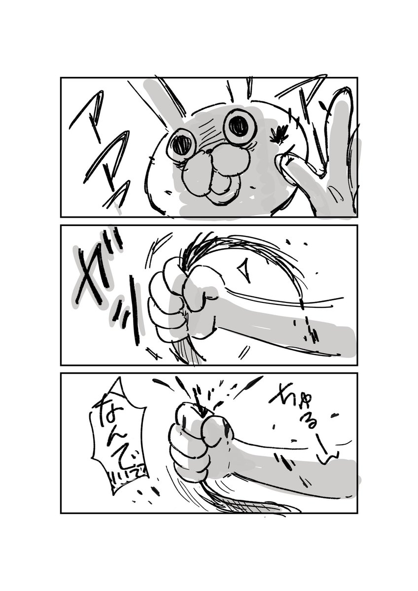 今日の出来事です 