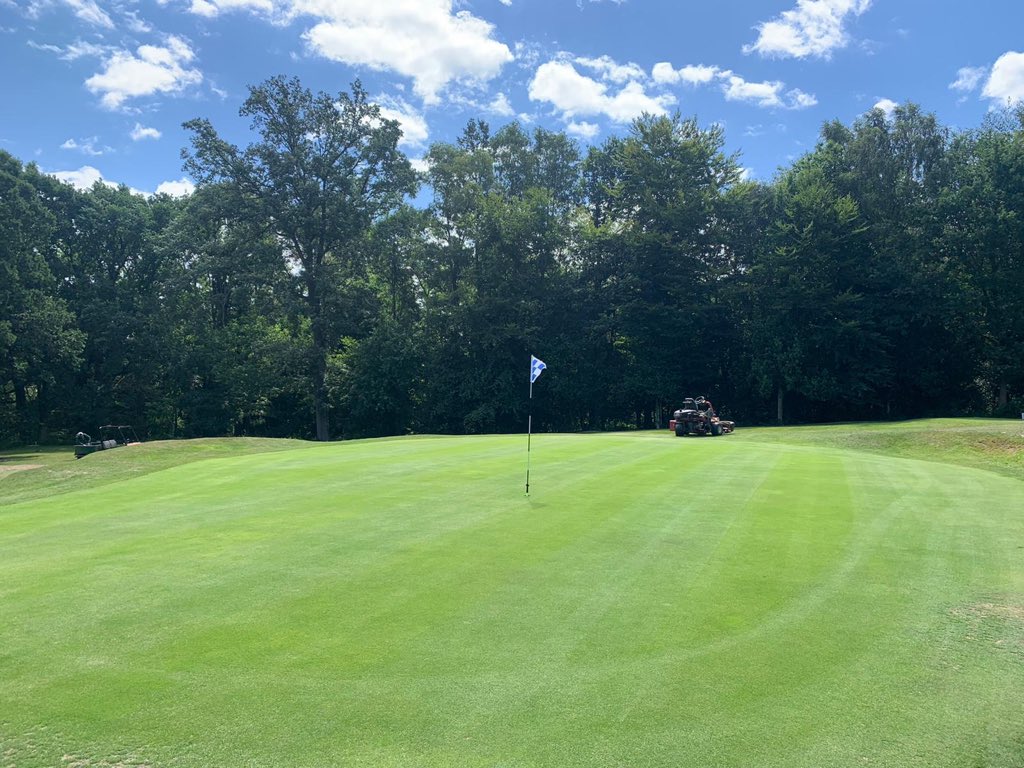 c_holty's tweet photo. Thanks Andrew wood @avoncropamenity for advice, put an application down six days ago I’m loving results #healthysward 😎👍 https://t.co/PuxnIlPY6n
