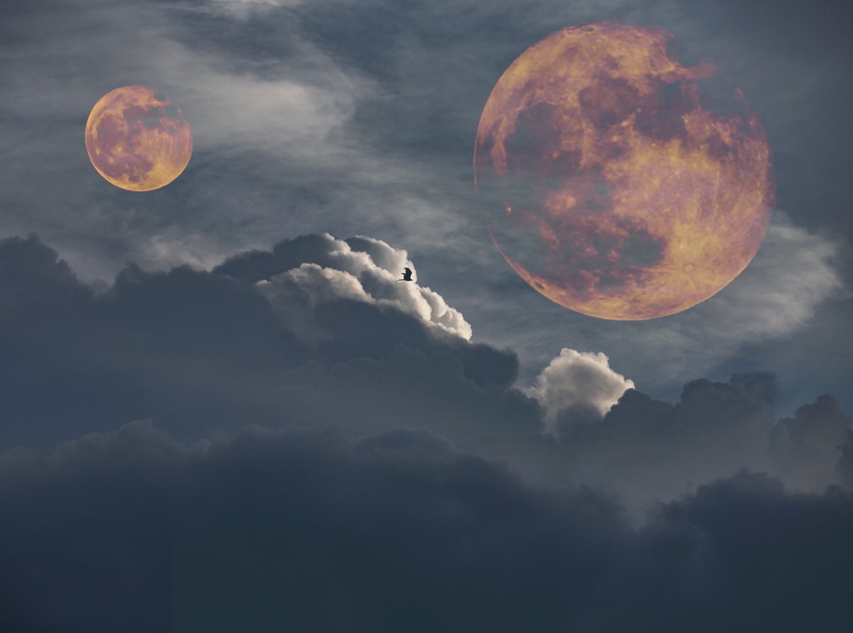 sunderramu's tweet photo. #terracediaries #moonfun https://t.co/JDTIWniKZ9