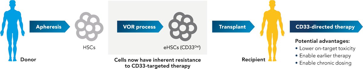 PureTechH's tweet photo. Vor Biopharma, which we co-founded w/ @DrSidMukherjee, raised $110M to advance its powerful product candidates for cancer, designed to hide healthy cells from targeted therapies while leaving diseased cancer cells vulnerable to attack https://t.co/RmQmsCHg3o https://t.co/Yh0MwpDOxJ