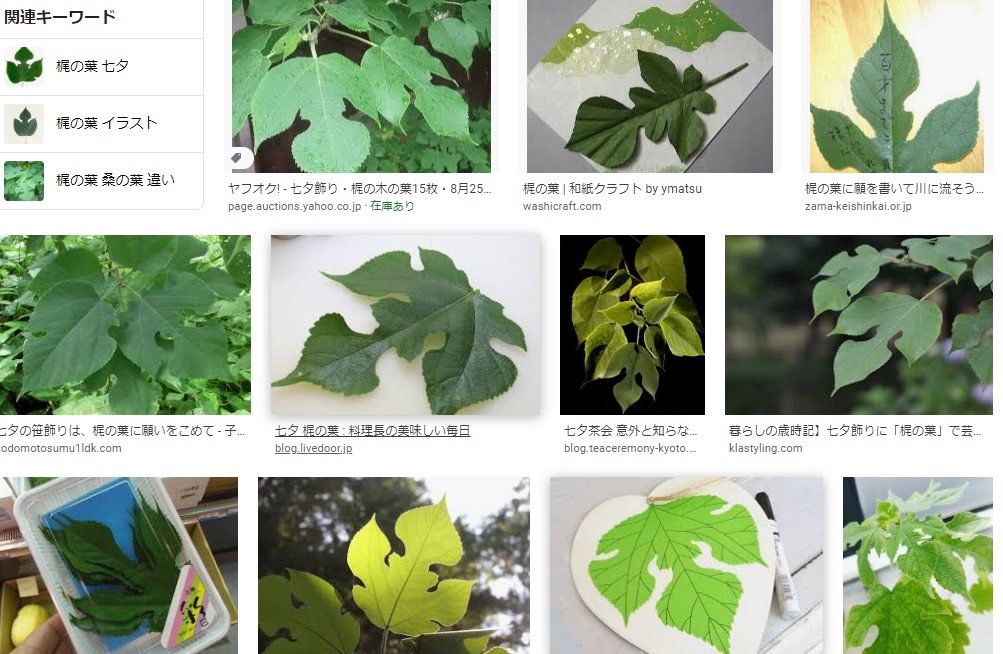 よしこた のこのこ 543life 梶の葉に願い事を書いて の梶の葉ってなんぞや と調べたら特徴的な素敵な葉っぱだった T Co Gdzd9xy7dt Twitter