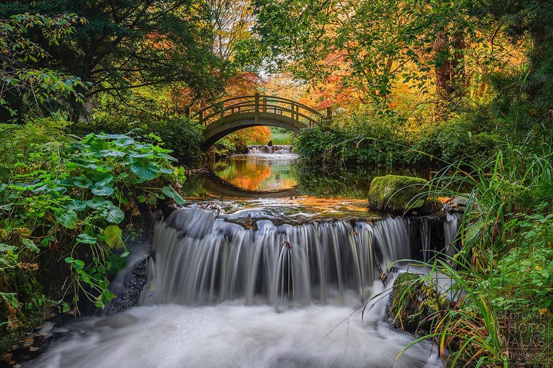 HereScotland's tweet photo. A piece of Japan in the Scottish Borders. Sending you a postcard from Stobo. #ScotlandStartsHere

📍 Stobo Japanese Water Garden, Stobo
📷  https://t.co/qlsxXzUooR https://t.co/RDYTOqExrW