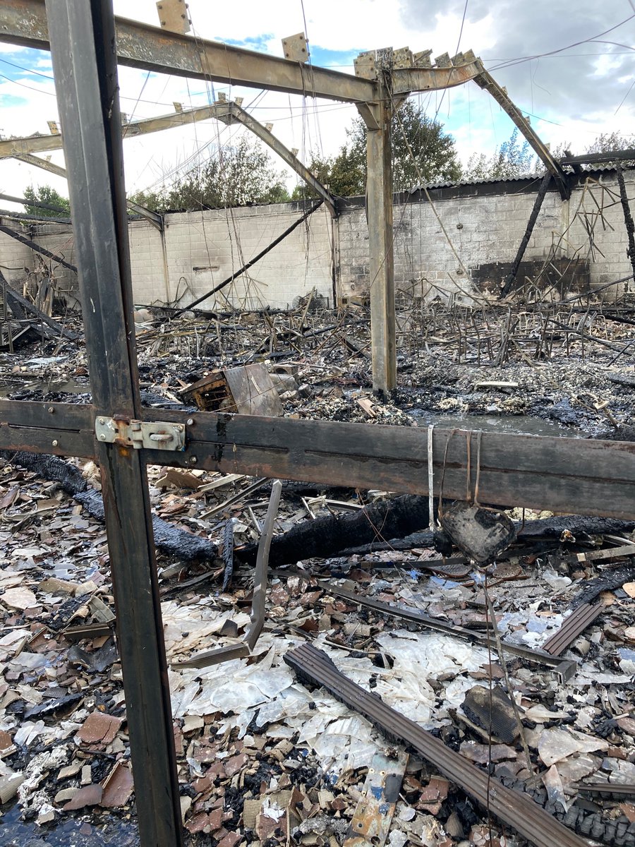 Fife Zoo tweet media