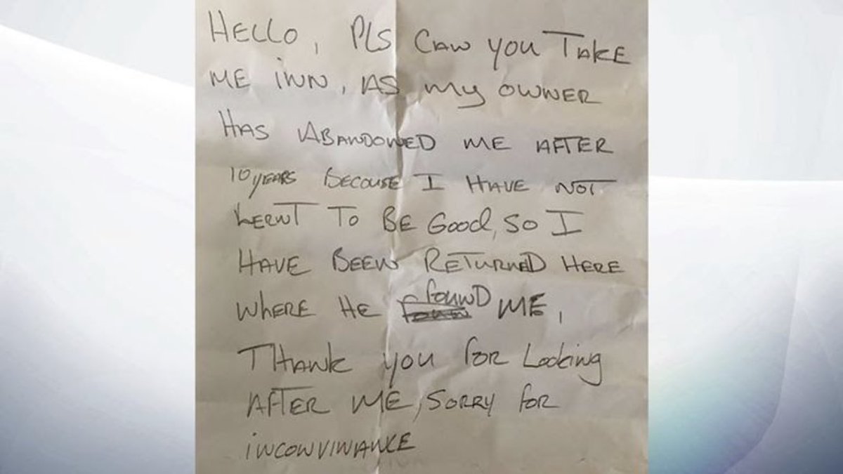 This wonderful 10-year-old Labrador has been abandoned in Kent because their poor excuse of an owner says they “haven’t learnt to be good”. I’m taking one look at this face and saying it’s the goodest boy/girl I’ve seen. Let’s find an owner they deserve. google.co.uk/amp/s/news.sky…