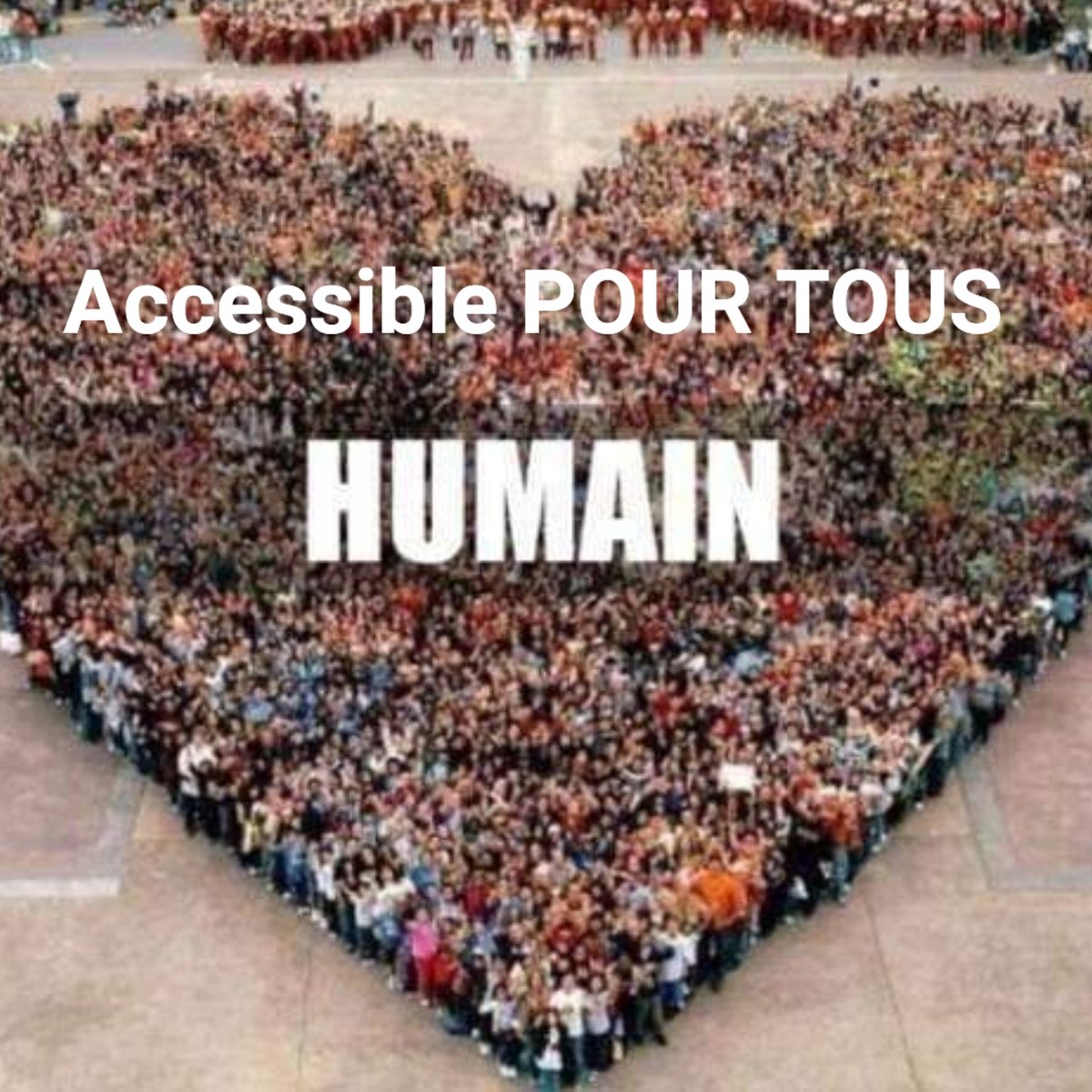 ♿ Accessible POUR TOUS ♿ tweet media