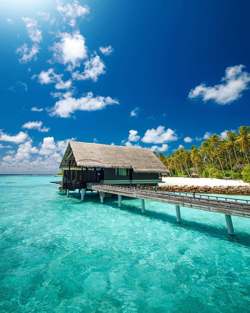 LuoghiDalMondo's tweet photo. Reethi Rah, #Maldive 🏝️ ☀️

📸 hawkhassaan https://t.co/8YbsGhGr8L