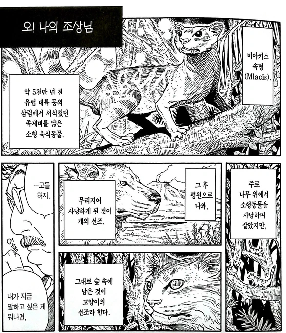 이건 같은 책은 아닌데 같은 내용 나와서 타래로

개와 고양이의 조상 미아키스 
