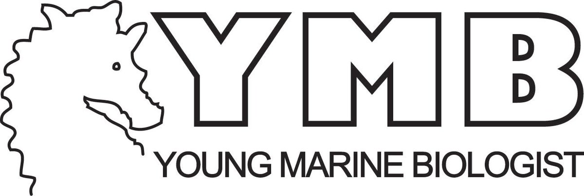 Young Marine Biologists represent the MBA's commitment to promote life-long engagement with our #ocean, with young people under 18 welcomed to a global community of marine biologists working together to safeguard the future health of THEIR #ocean 🌊 mba.ac.uk/ymb