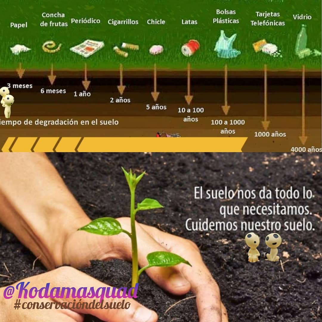 Kodamasquad's tweet photo. #díadelaconservaciondelsuelo 
🟢Algunas buenas prácticas para evitar la #degrading del suelo son:
    🏜️ Usar abono orgánico
    🏜️ Realizar siembra directa
    🏜️ Asociar cultivos para control de plagas 
    🏜️ Rotación inteligente de cultivos https://t.co/6CTZbPoRAt