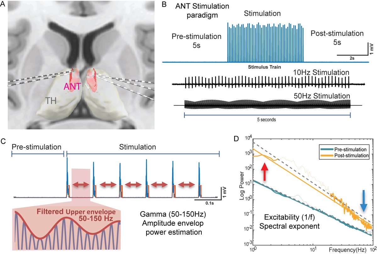 ECN Lab (@EcnLab) / Posts / X