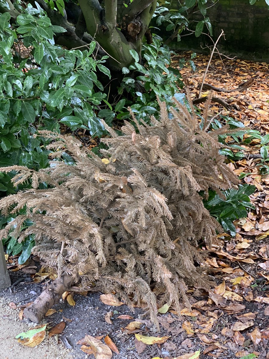 Craig Box tweet media