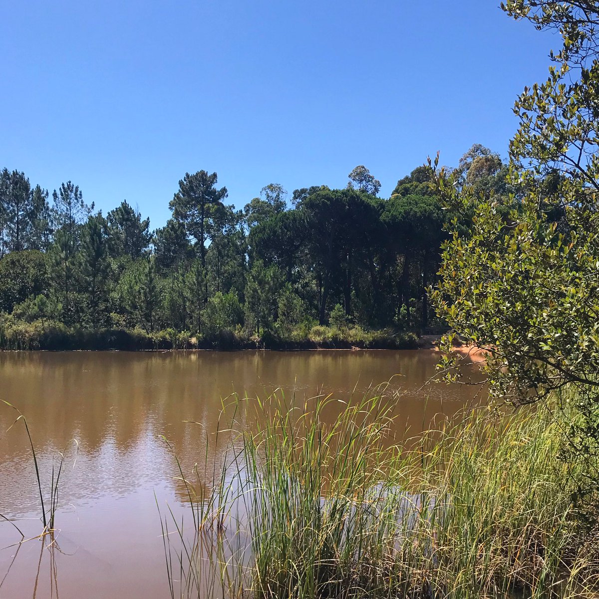 green_hero_info's tweet photo. Once upon a time when there was no time⏳#portugal #beautifulplace #naturegems #naturebeauty #naturelover #naturephotography #pachamama #onceuponatime #theworldwithoutus #connect #peaceofmind #peacefulplace #positivevibes #oldsoul #notimeforbullshit #nodrama #voyageursdumonde https://t.co/DaTdNmRiYA