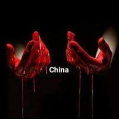 isabel_lanca's tweet photo. #StopYulinForever #StopDogMeat #StopCatMeat https://t.co/YCbxqvX1GH