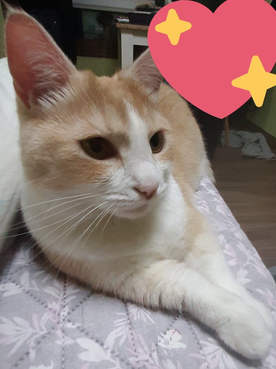 잘생겼다 울 애기