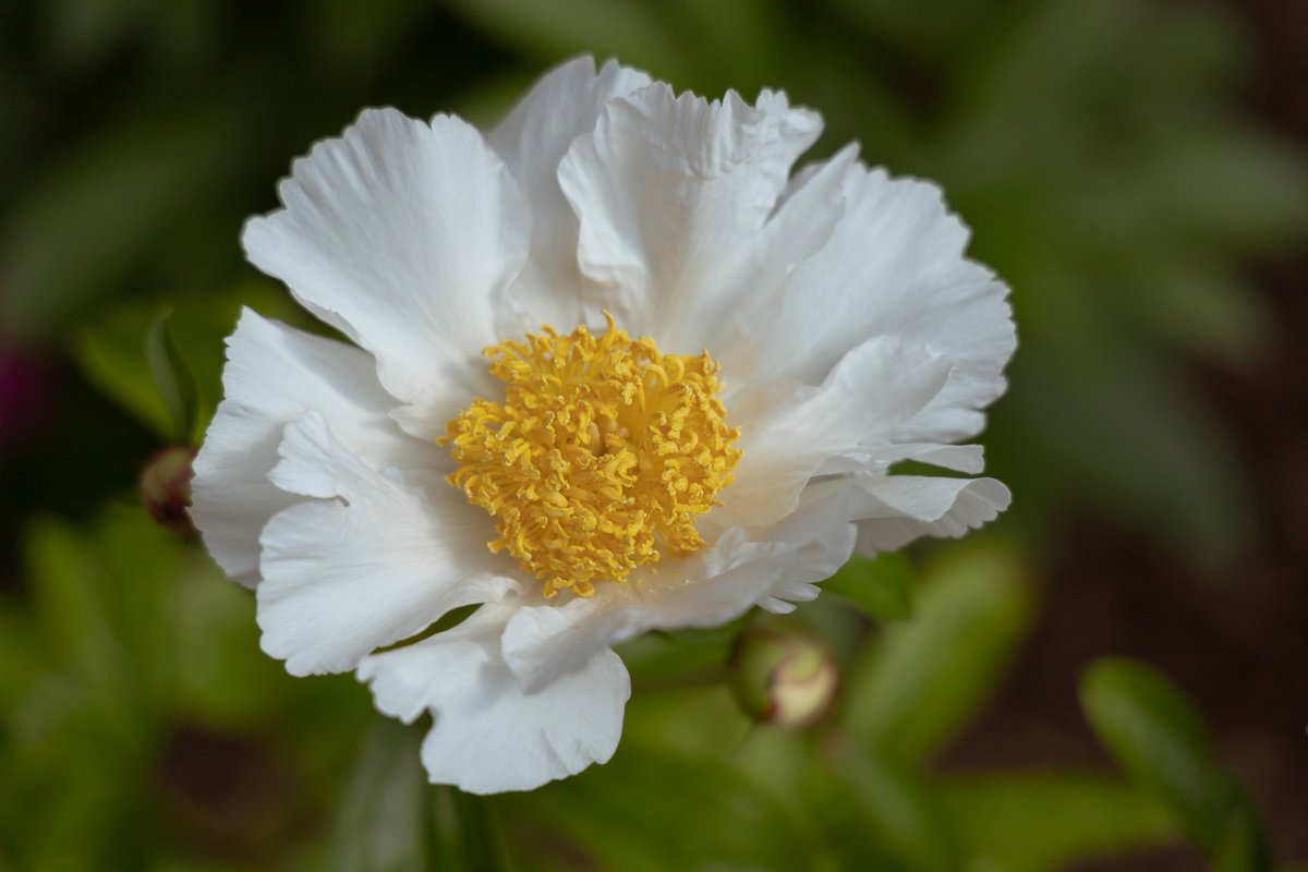 Lamar Dixon tweet media