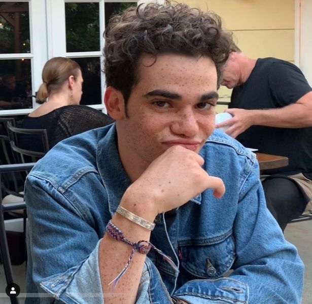 __rxsethekidd_'s tweet photo. Its officially been a year since we lost Cameron Boyce. His light, smile, laugh, energy and presence is missed by many. My thoughts and prayers are with his family and friends during this time. Rest in peace Cam, You will never be forgotten. #CameronBoyce #foreverboy #peterpan https://t.co/aEP6r5Qhr3