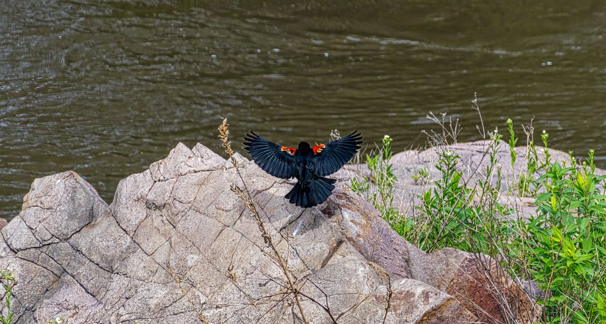 PageOneProject's tweet image. 