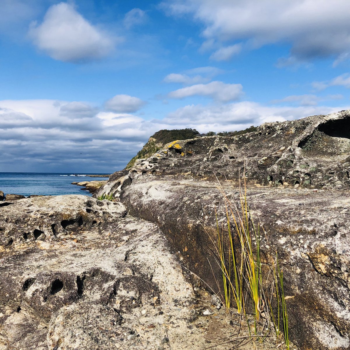 janegoldnbn's tweet photo. Young and old. #findingfossils #Dudley #lakemacquarie https://t.co/yA5vcWf7Nr