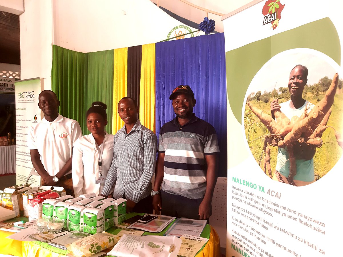 Cath_Njuguna's tweet photo. @IITA_CGIAR @ACAI_IITA tuko hapa Kurasini kwenye maonyesho ya kimataifa ya 44. Kwa utafiti kuhusu myororo wa dhamana wa muhogo tembelea banda la Tanzania Cassava Producers &amp; processors Association #TACAPA #SabaSaba2020 #Tanzania  Karibuni. https://t.co/191JT7g0UO