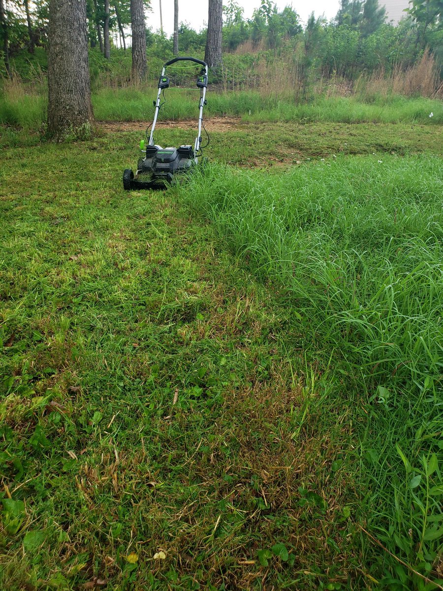 GWCvirginia's tweet photo. This tall wet grass is no match for the 25" deck, dual blades, and 82 volts provided by @greenworkstools Commercial GMS250! #BEASTMODE #betterthangas #greenworks https://t.co/Z4853Hh26d