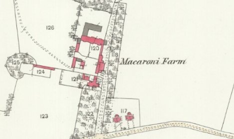 NLS Map Collections tweet media