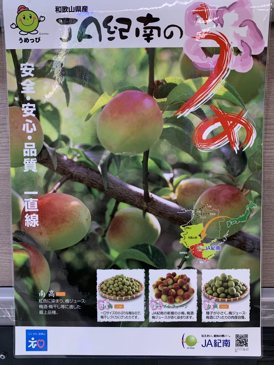 UME in Wakayama, taste good and good for health #wakayama #ume #umepower #umepowerplus #healthcare