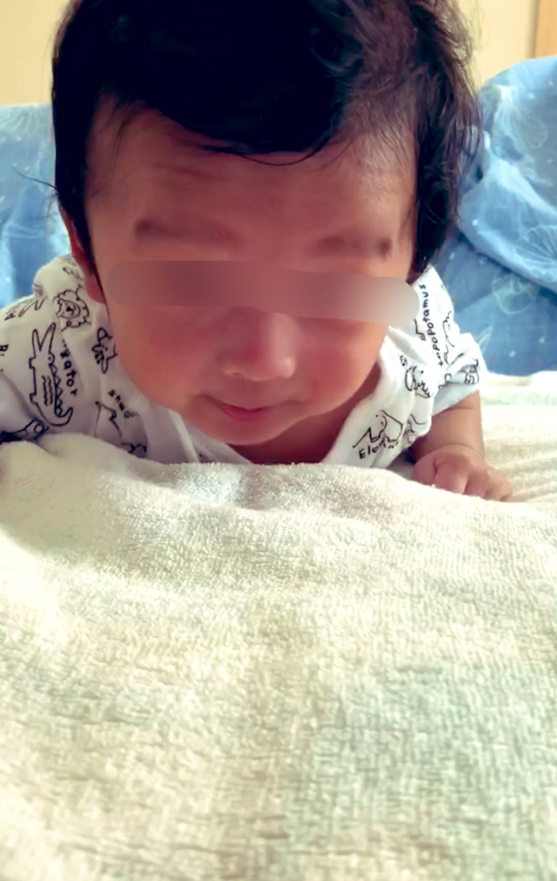 腹ばい練習 Twitter Search Twitter