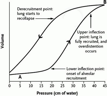 PEEP slightly above the lower inflection pointThe lower inflection point is where the alveoli start to open (theoretically keeping PEEP above will prevent atelectasis)It can be determined (which is not an easy task) by Volume to pressure curve