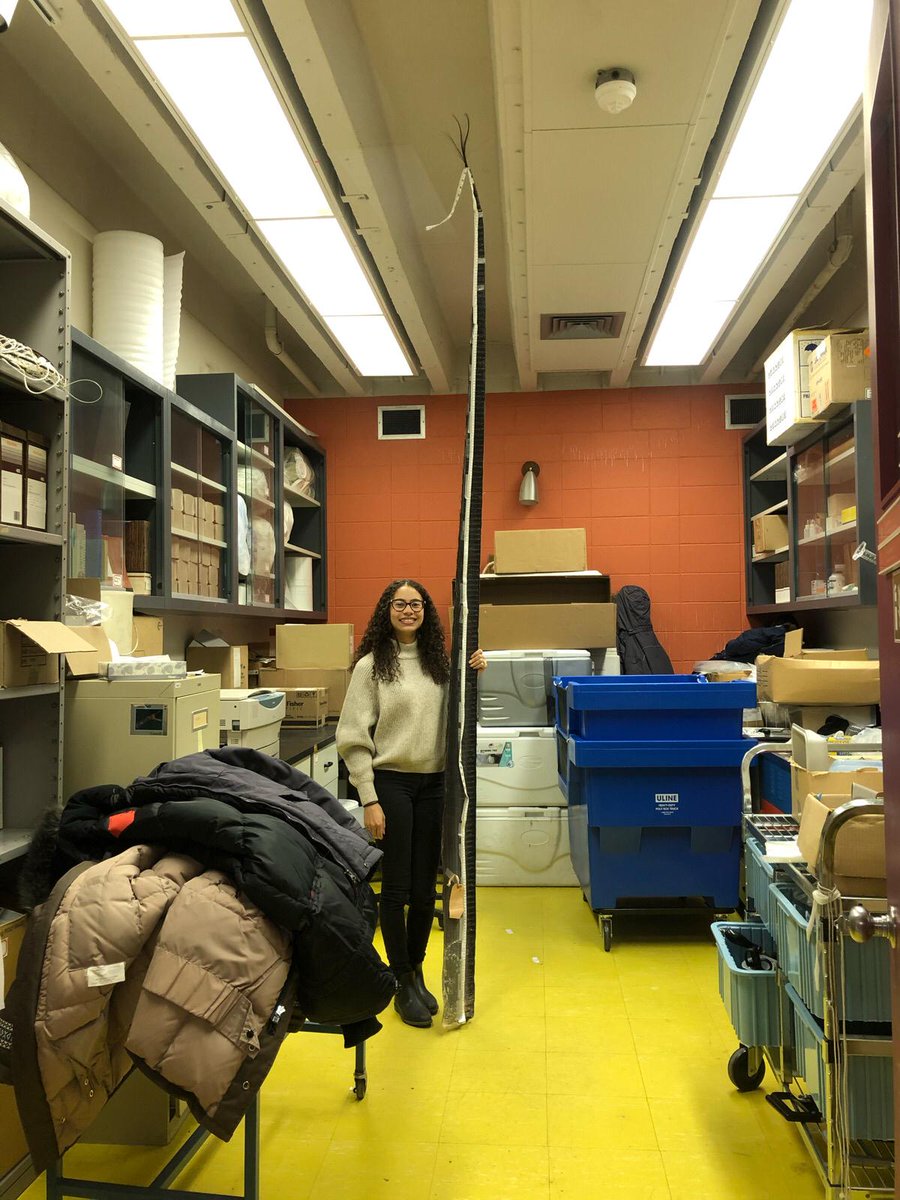PolarImpact's tweet photo. Hi everyone! I’m Justine Hudson, a recent graduate from @umanitoba. For my MSc degree, I studied stress in beluga whales and bowhead whales throughout the Canadian Arctic. https://t.co/Te9qtil5Dz