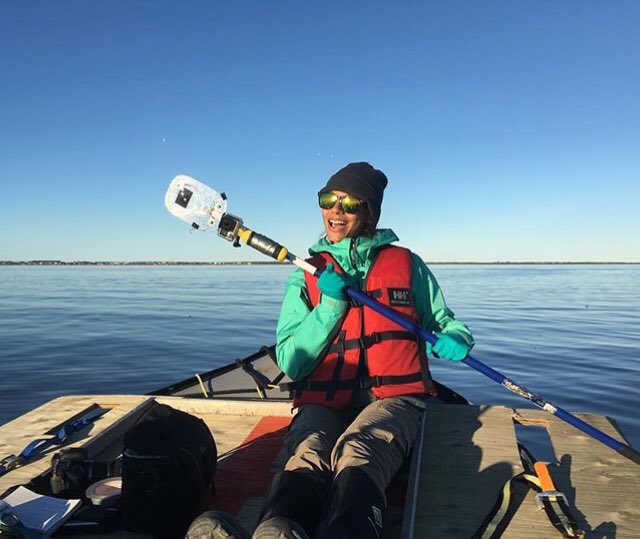 PolarImpact's tweet photo. Hi everyone! I’m Justine Hudson, a recent graduate from @umanitoba. For my MSc degree, I studied stress in beluga whales and bowhead whales throughout the Canadian Arctic. https://t.co/Te9qtil5Dz