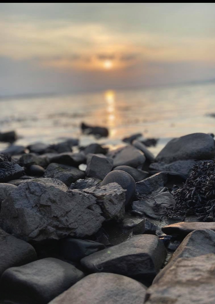 Our international faculty will guide you towards creating solid research proposals to win funding. Enrolment is open now, join us for the summer and see what you can achieve... #EVSS2020