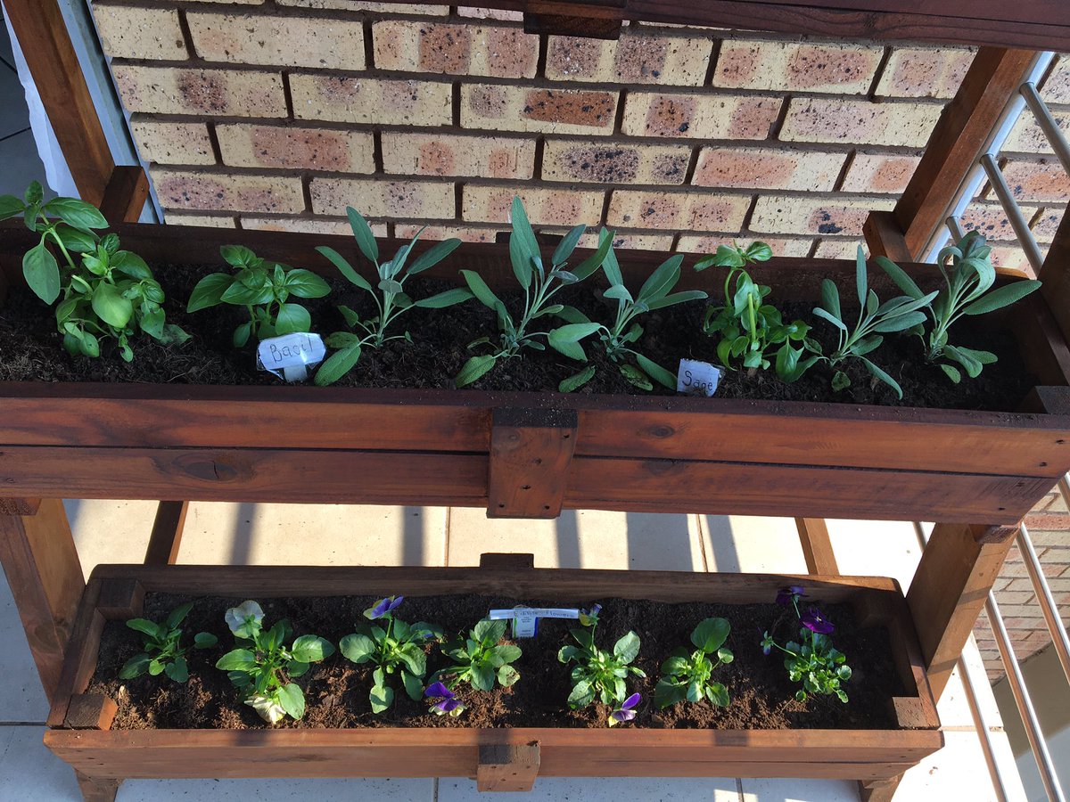 FarmMinist's tweet photo. Container gardening is making use containers &amp; use potting soil.Potting soil has the relevant nutrients for your plants.Basic requirement for container gardening is that the container have to be large enough to hold the plant&amp;have drainage holes so that excess water can escape. https://t.co/rBSniteXxG