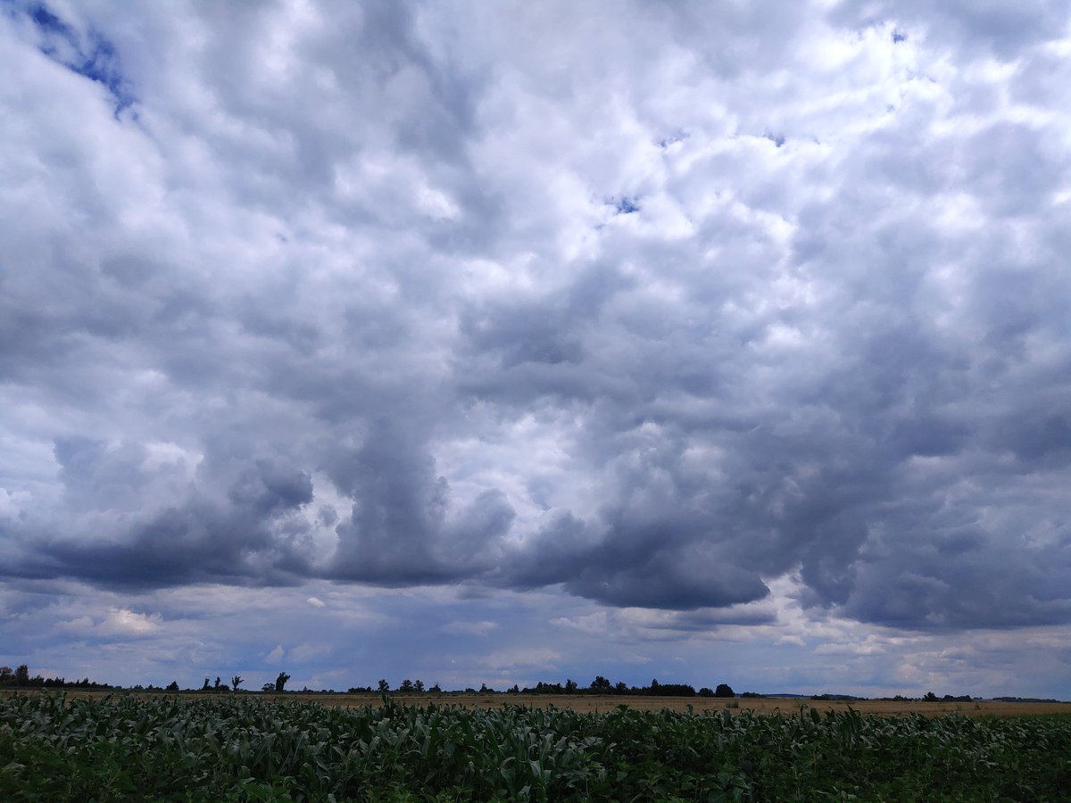 StyczenAndrzej's tweet photo. Z każdej strony chmury
#świętokrzyskie #Bejsce
@MeteoprognozaPL
@IMGWmeteo
@PogodaLomzaPL
#nofilter https://t.co/Jtaf9OqIby