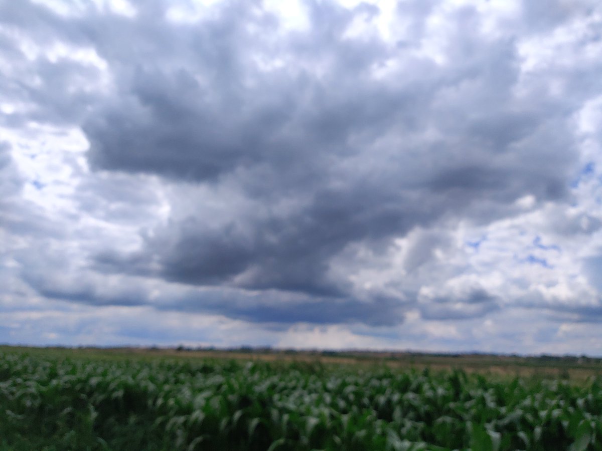 StyczenAndrzej's tweet photo. Z każdej strony chmury
#świętokrzyskie #Bejsce
@MeteoprognozaPL
@IMGWmeteo
@PogodaLomzaPL
#nofilter https://t.co/Jtaf9OqIby